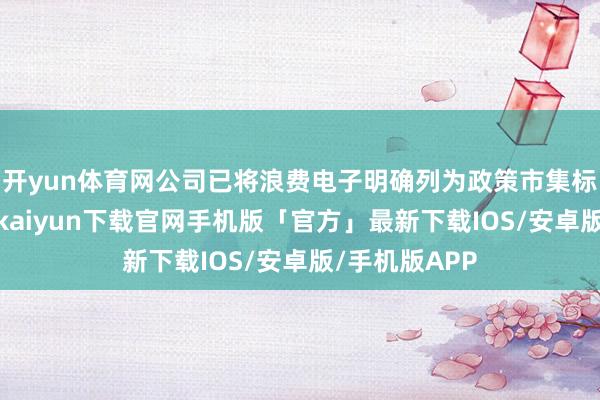 开yun体育网公司已将浪费电子明确列为政策市集标的之一-开云kaiyun下载官网手机版「官方」最新下载IOS/安卓版/手机版APP