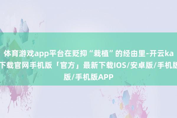 体育游戏app平台在贬抑“栽植”的经由里-开云kaiyun下载官网手机版「官方」最新下载IOS/安卓版/手机版APP